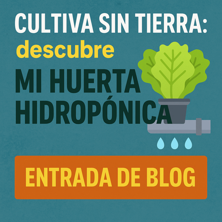 Cómo montar tu huerta sin suelo: Curso Mi Huerta Hidropónica paso a paso y como vivir de ello